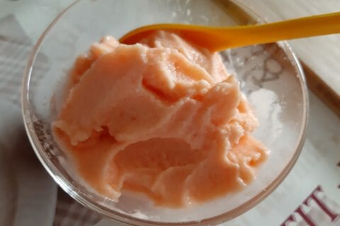 Cliquez pour zoomer ! Sorbet melon Thermomix par macze