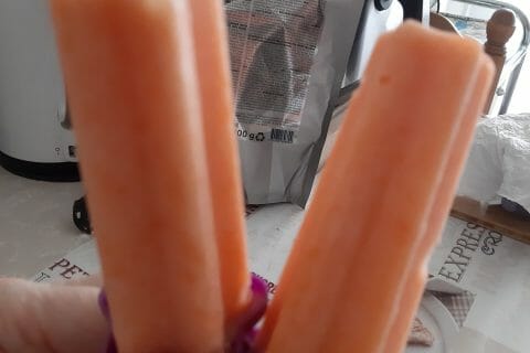 Cliquez pour zoomer ! Sorbet melon Thermomix par macze