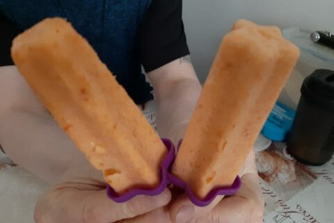 Cliquez pour zoomer ! Sorbet à l’abricot Thermomix par macze