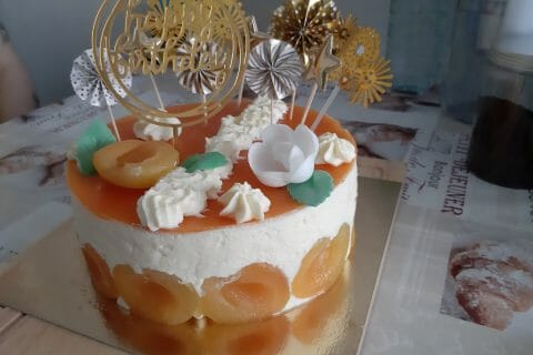 Cliquez pour zoomer ! Bavarois à l’abricot Thermomix par macze