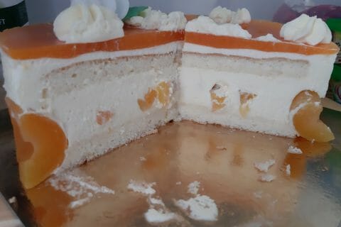 Cliquez pour zoomer ! Bavarois à l’abricot Thermomix par macze