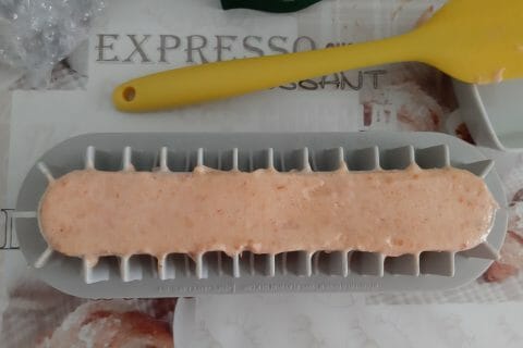 Cliquez pour zoomer ! Sorbet à l’abricot Thermomix par macze