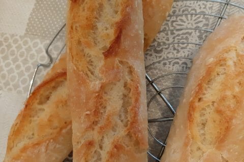 Cliquez pour zoomer ! Photo de macze Thermomix par macze