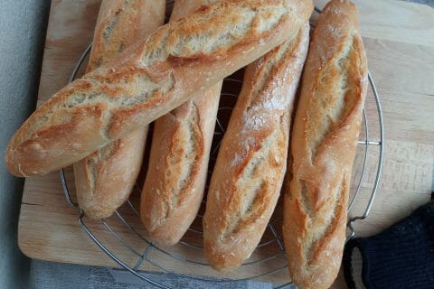 Cliquez pour zoomer ! Photo de macze Thermomix par macze