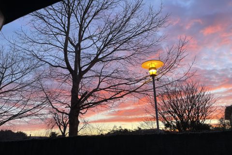 Cliquez pour zoomer ! Smoothie détox Thermomix par jardin31