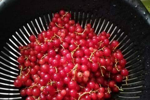 Cliquez pour zoomer ! Gelée de groseilles Thermomix par aureliejaly