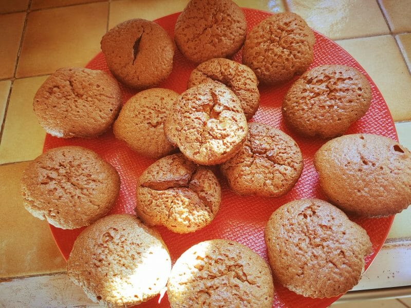 Cliquez pour zoomer ! Mini muffins au chocolat Thermomix par naovangrazgeo
