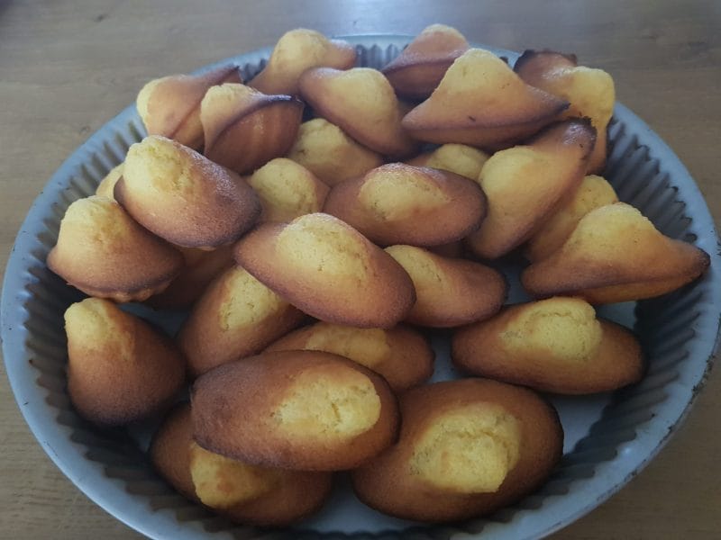 Cliquez pour zoomer ! Madeleines Thermomix par Johann