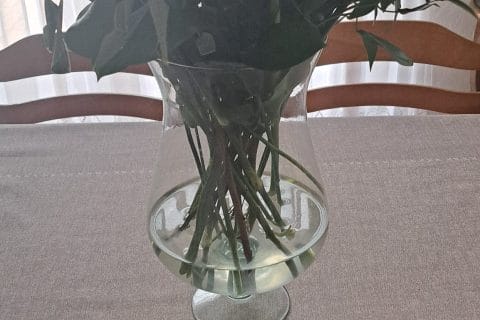 Cliquez pour zoomer ! Cake au chocolat et cranberries Thermomix par pasjoe