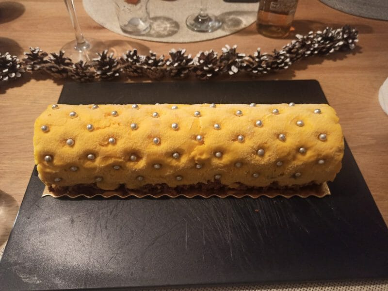 Cliquez pour zoomer ! Bûche glacée mangue et framboise Thermomix par zertu