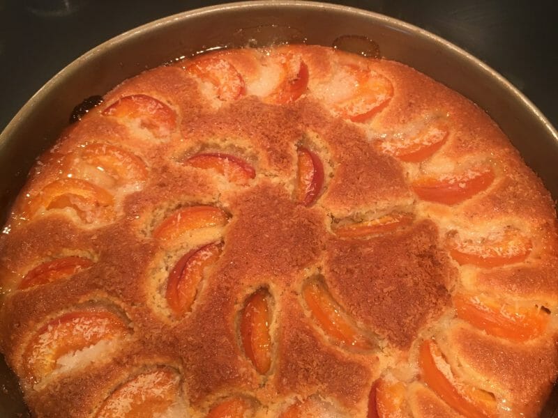Cliquez pour zoomer ! Gâteau moelleux aux abricots Thermomix par Saboteuse