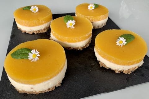 Cliquez pour zoomer ! Panna cotta citron sur sablé spéculoos et miroir de mangue Thermomix par maresol