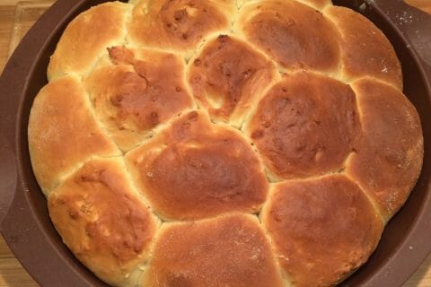 Cliquez pour zoomer ! Brioche Buchty au Thermomix