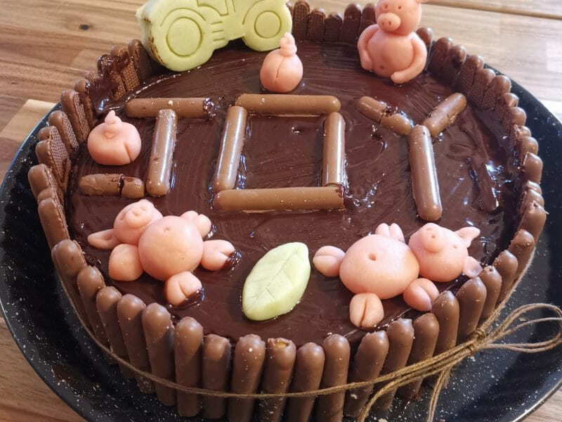 Cliquez pour zoomer ! La mare aux cochons Thermomix par megane_84