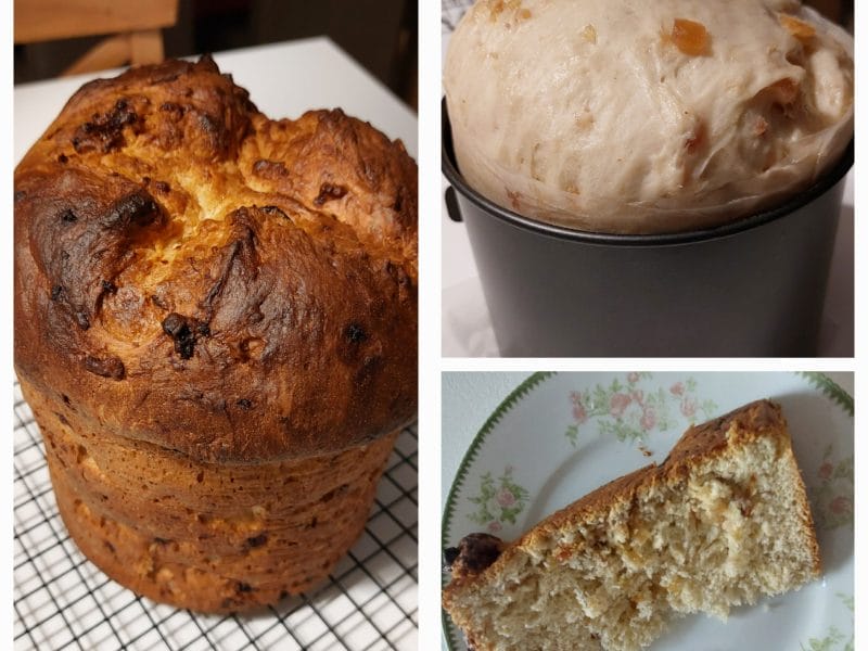 Cliquez pour zoomer ! Panettone Thermomix par lorellacarpentierperoni
