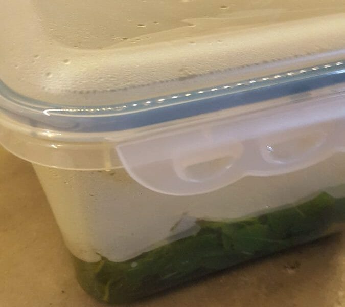 Cliquez pour zoomer ! Sirop de menthe Thermomix par Alexguigui