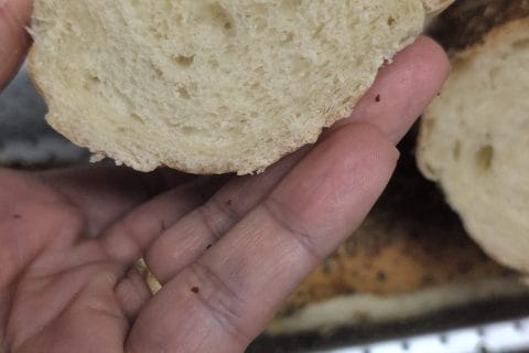 Cliquez pour zoomer ! Baguettes façon Subway Thermomix par Malak.k.2011