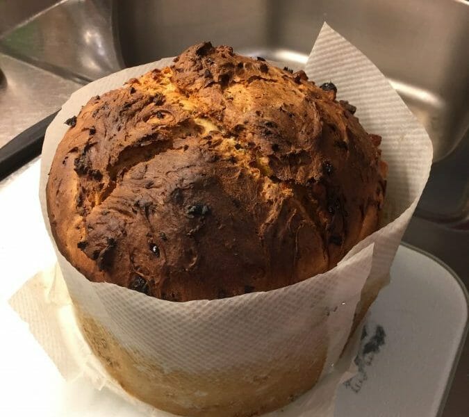 Cliquez pour zoomer ! Panettone Thermomix par Dasha