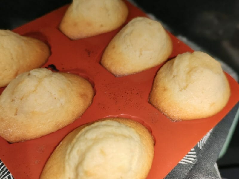 Cliquez pour zoomer ! Madeleines Thermomix par sandy_103