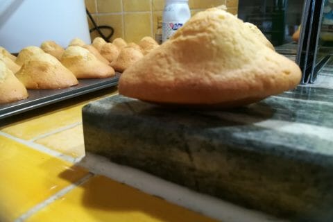 Cliquez pour zoomer ! Photo de fourchette84