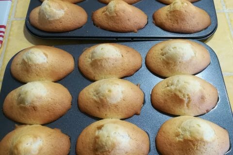 Cliquez pour zoomer ! Photo de fourchette84