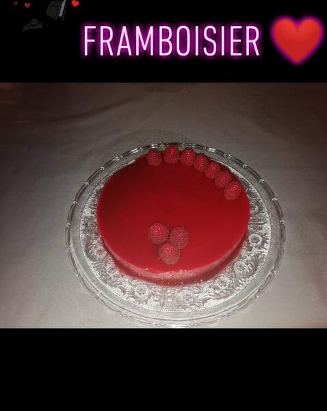 Cliquez pour zoomer ! Snapchat-1487608727 Thermomix par Kenzasher