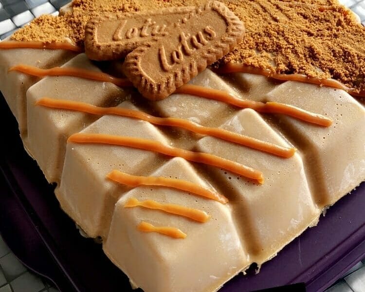 Cliquez pour zoomer ! Crémeux pommes spéculoos Thermomix par celin1210