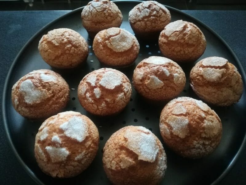 Cliquez pour zoomer ! Magdalenas – Madeleines espagnoles Thermomix par Hummer