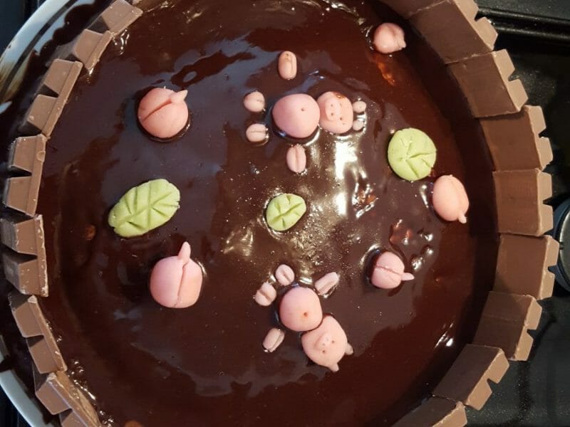 Cliquez pour zoomer ! La mare aux cochons Thermomix par Gwadiana82