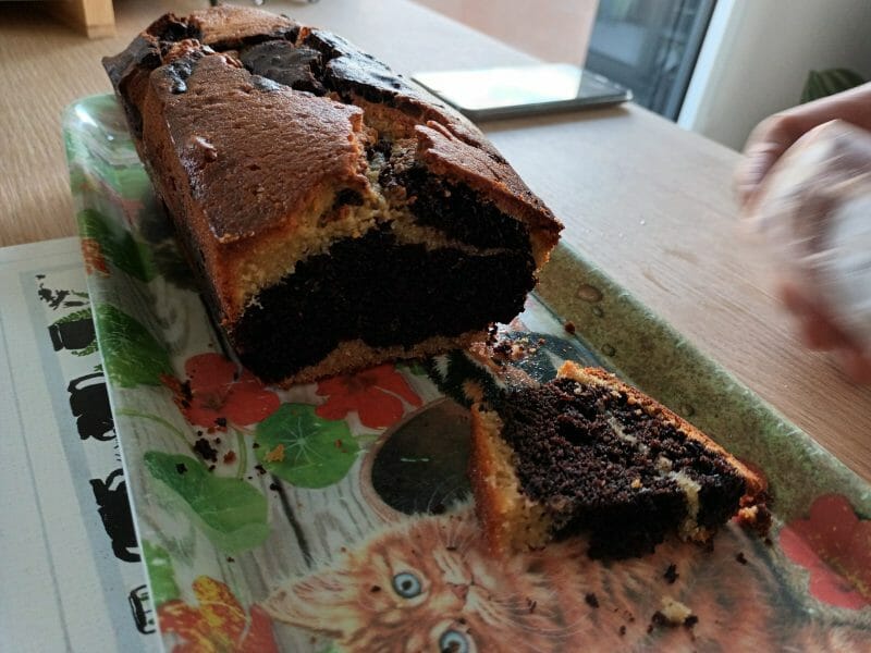 Cliquez pour zoomer ! Marbré au chocolat Thermomix par chaton38