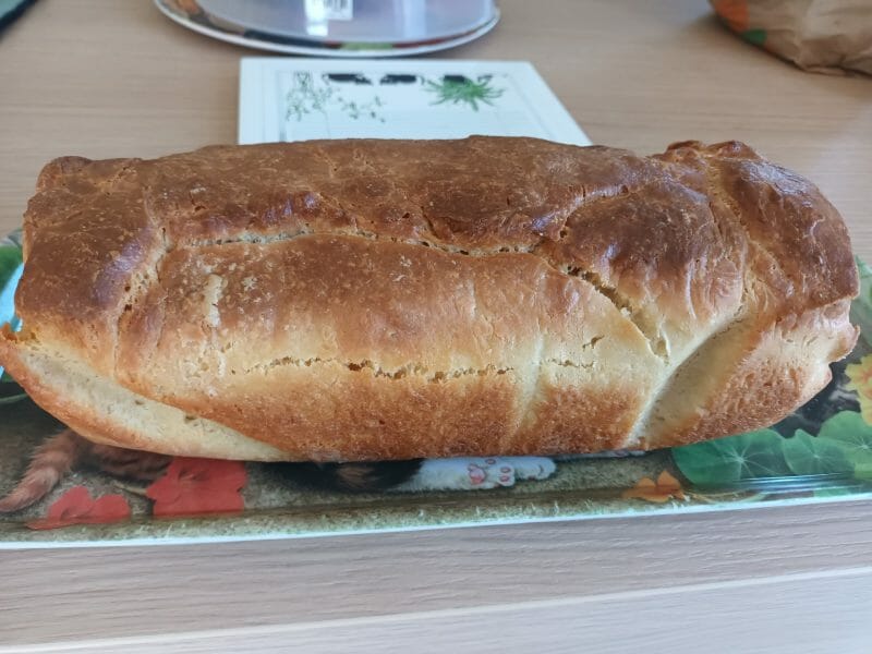 Cliquez pour zoomer ! Saucisson brioché Thermomix par chaton38