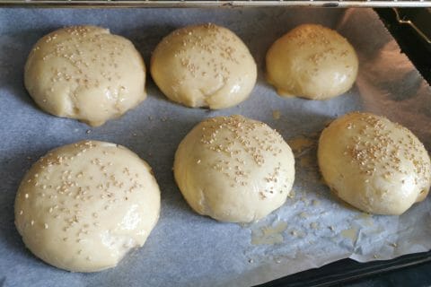 Cliquez pour zoomer ! Pains hamburger Thermomix par lolaxel42