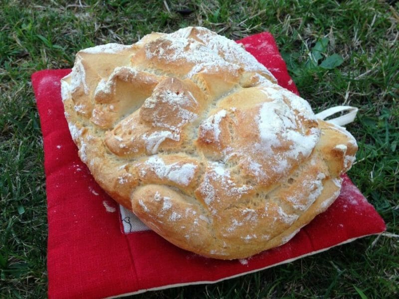 Cliquez pour zoomer ! Pain Cocotte Thermomix par Laure312106