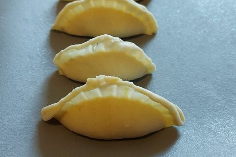 Cliquez pour zoomer ! Gyoza poulet et chou chinois Thermomix par tiph260486