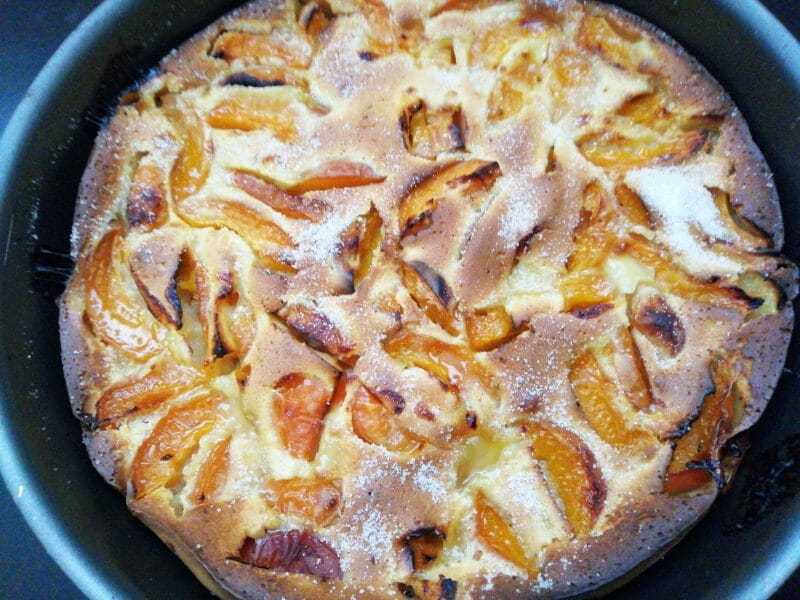 Cliquez pour zoomer ! Far aux abricots Thermomix par Thermopat77