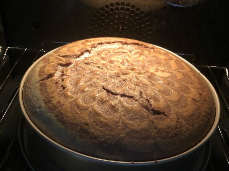 Cliquez pour zoomer ! Gâteau zébré Thermomix par zazahappy