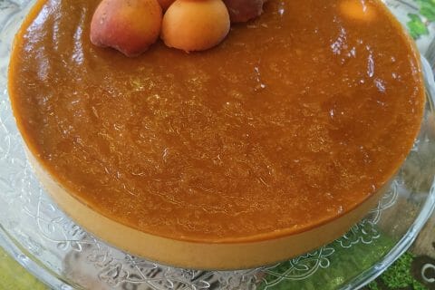 Cliquez pour zoomer ! Bavarois à l’abricot au Thermomix