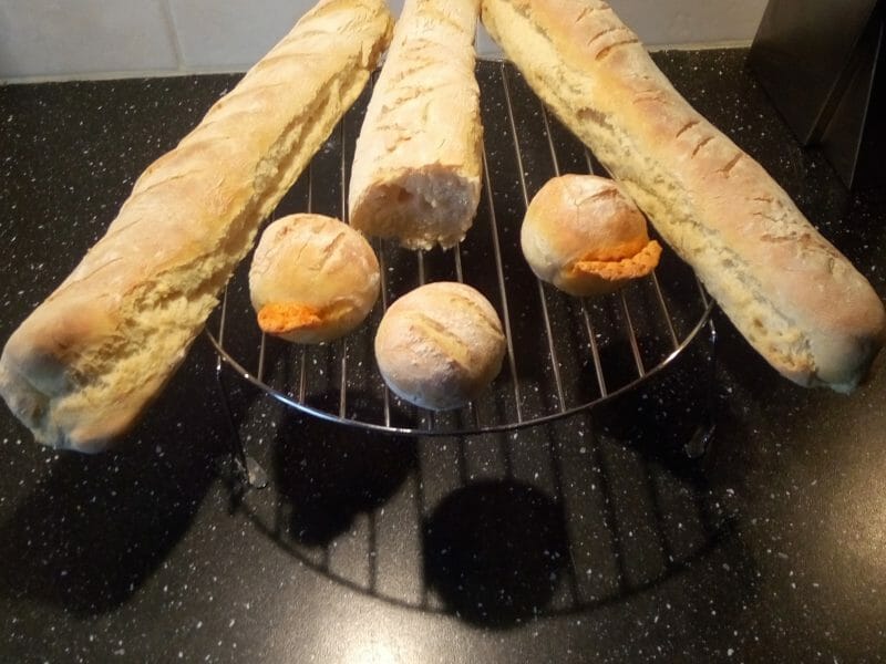 Cliquez pour zoomer ! Baguettes Thermomix par Fabien78