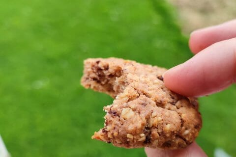 Cliquez pour zoomer ! Biscuits aux flocons d’avoine, cacahuètes et chocolat Thermomix par Aurelie1982