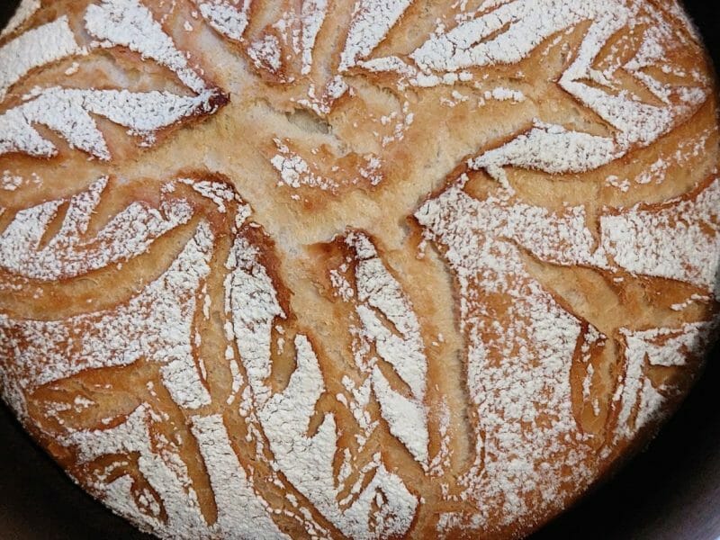 Cliquez pour zoomer ! Pain Cocotte Thermomix par amelamoulti