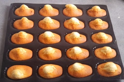 Cliquez pour zoomer ! Photo de amelamoulti