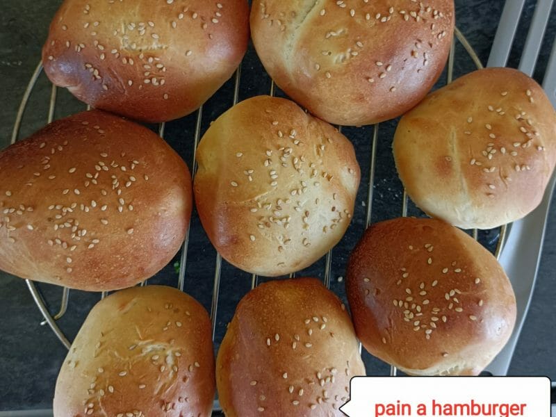 Cliquez pour zoomer ! Pains hamburger Thermomix par delf_7
