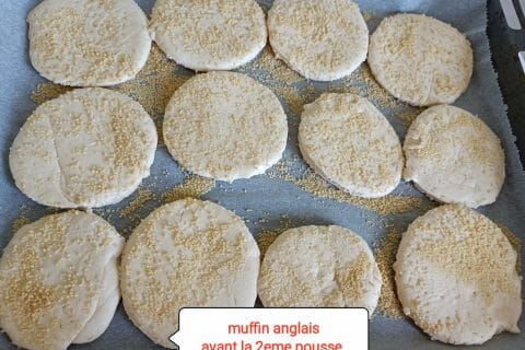 Cliquez pour zoomer ! Muffins anglais Thermomix par delf_7