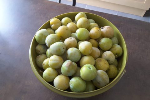 Photos des recettes