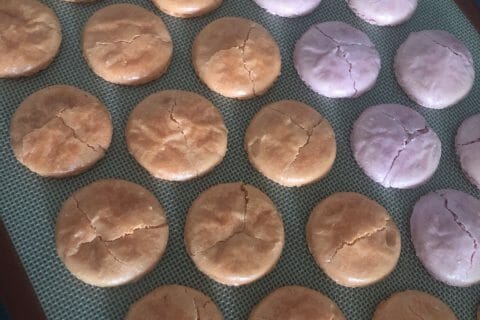Cliquez pour zoomer ! Macarons Thermomix par justpradadise