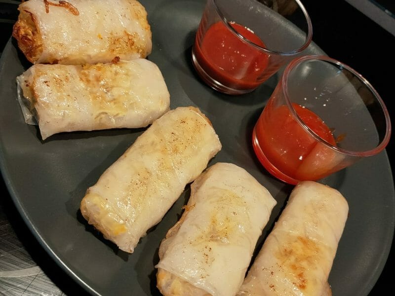 Cliquez pour zoomer ! Nems au poulet Thermomix par sev_35
