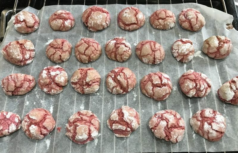 Cliquez pour zoomer ! Craquelés aux biscuits roses de Reims Thermomix par Marie Pierre