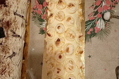 Cliquez pour zoomer ! Bûche citron et framboises Thermomix par beteau