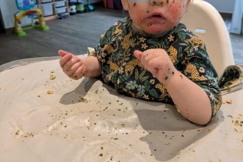 Cliquez pour zoomer ! Lasagnes au saumon et aux épinards Thermomix par kwole59