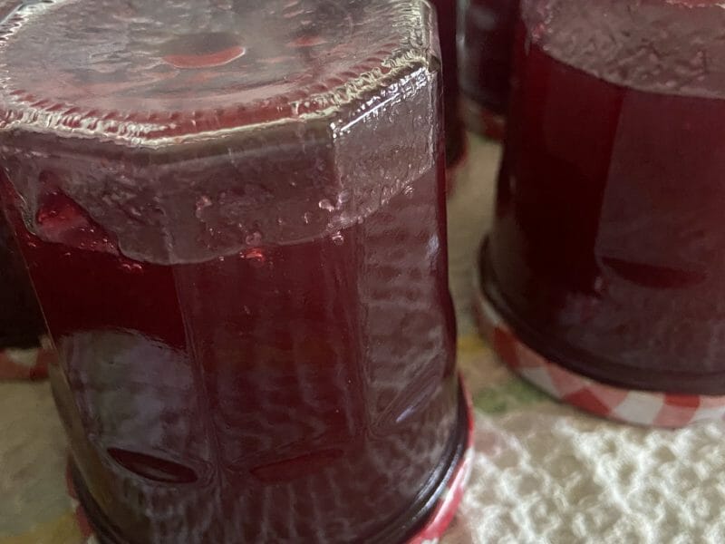 Cliquez pour zoomer ! Gelée de groseilles Thermomix par kiki2010